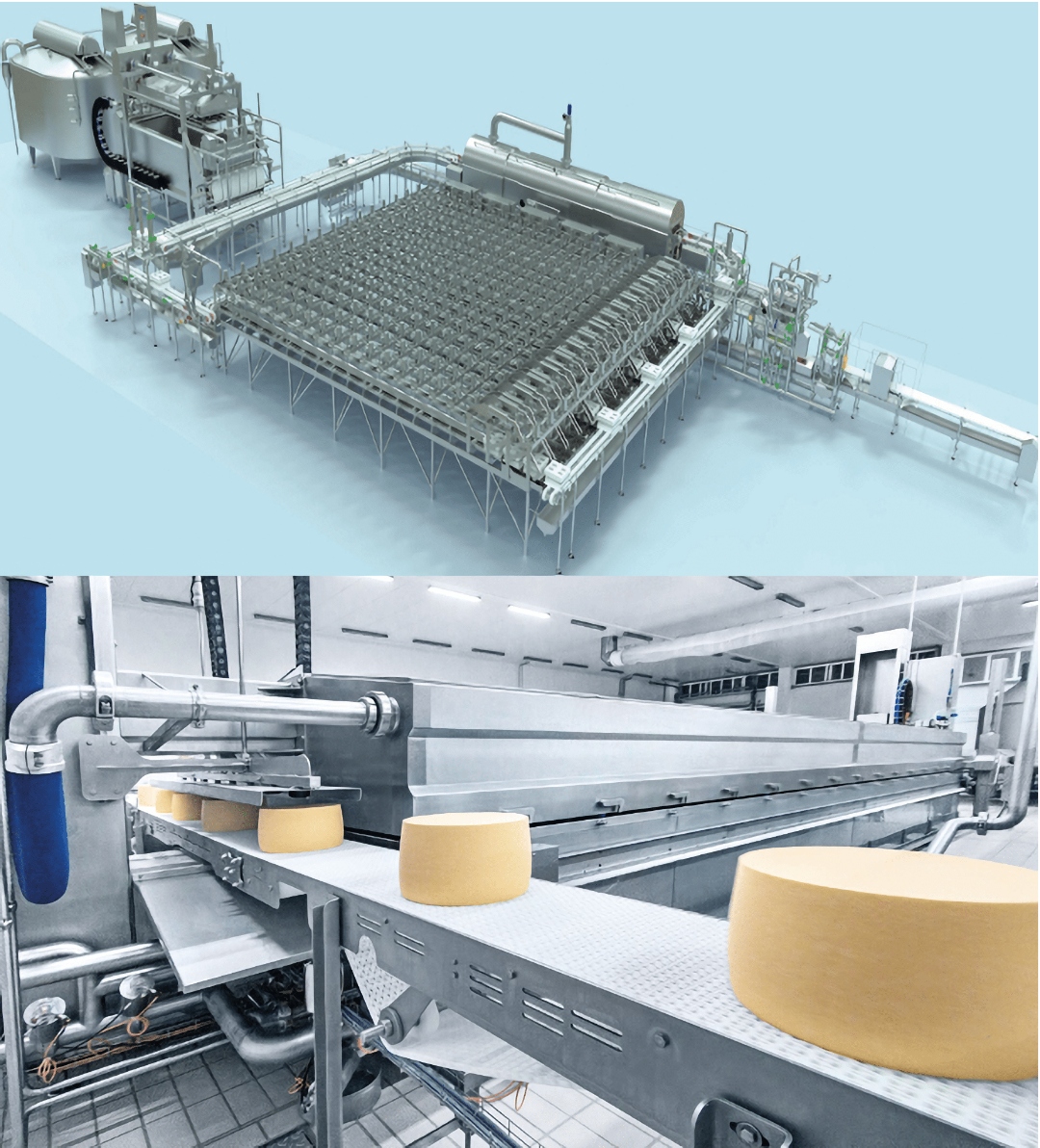 Линия производства сыра